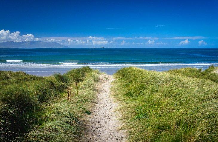 Sendero a través de las dunas en Banna Strand