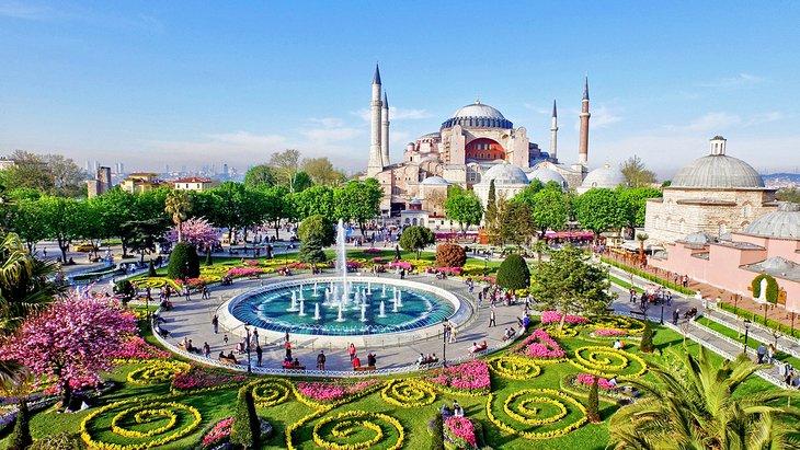 Flores de primavera y la Mezquita Azul en Estambul