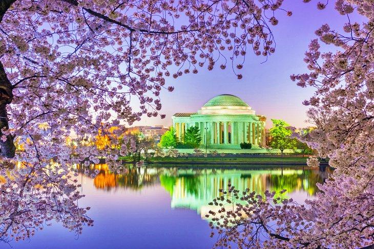 Tidal Basin y Memorial de Jefferson con cerezos en flor en primavera
