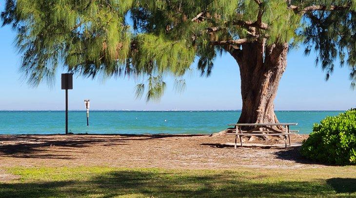 Mesa de picnic en Playa Pública Bayfront Park