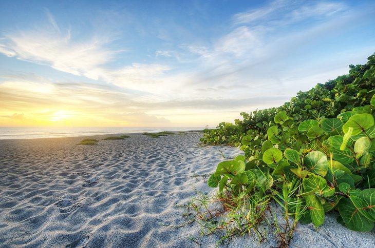 Indialantic Beach au lever du soleil