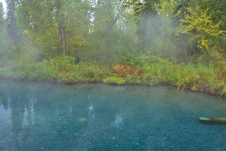 Vapor saliendo de una piscina en Liard River Hot Springs