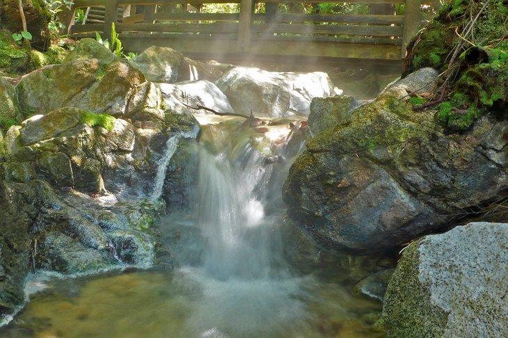 Pequeña piscina en Hot Springs Cove