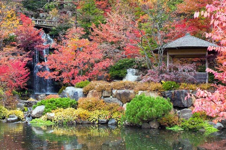 Jardins japonais d'Anderson à Rockford, Illinois
