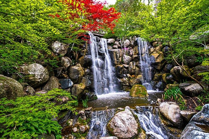 Jardins japonais d'Anderson