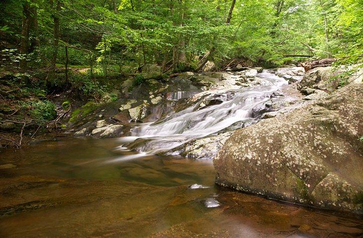 Área de senderismo Whiteoak Canyon