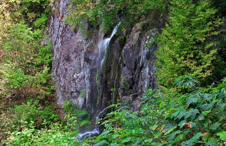 Sendero Lewis Falls