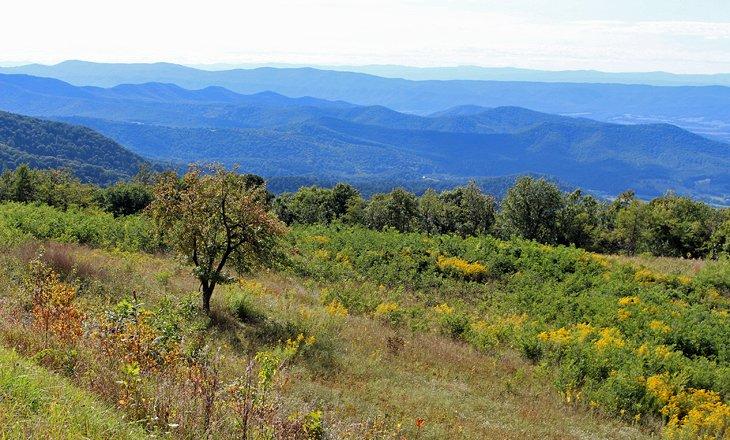 Vista desde Skyline Drive