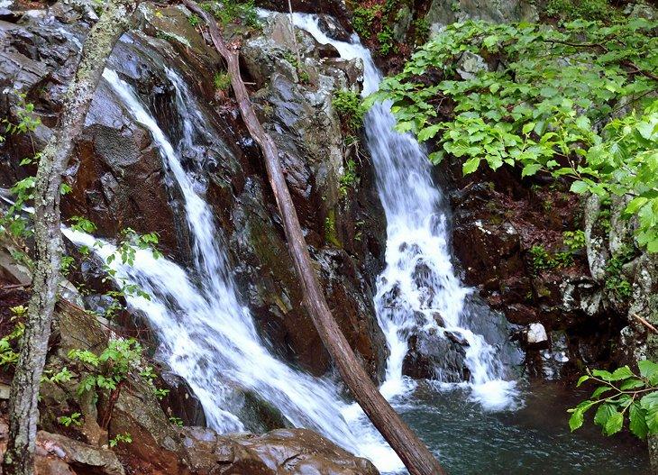 Sendero Rose River Loop