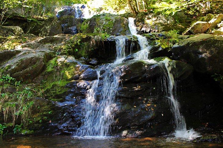 Sendero Dark Hollow Falls
