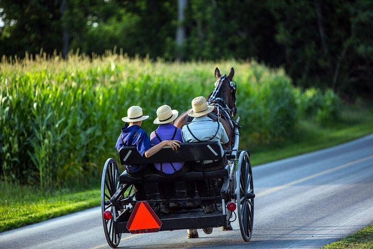 Caminos del País Amish
