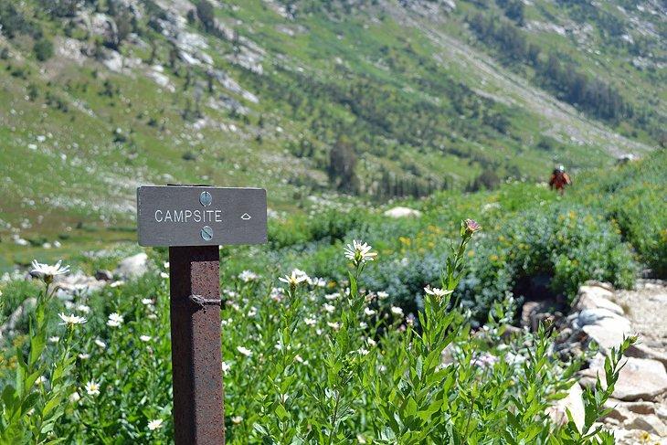 Zonas de Camping Cascade Canyon