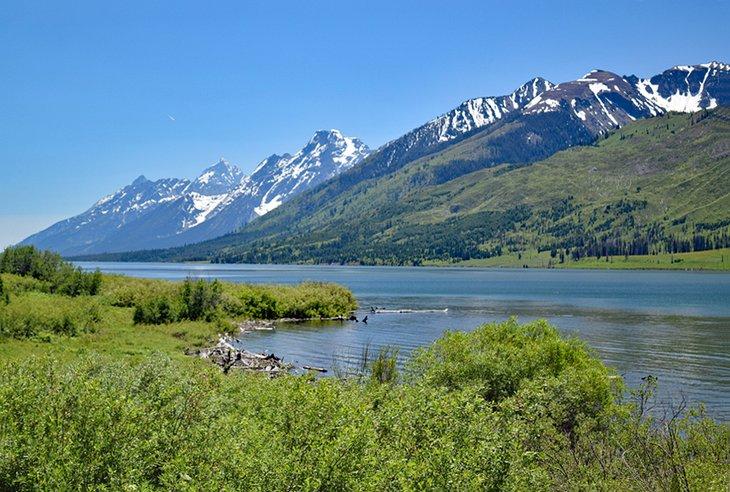 Extremo norte del lago Jackson cerca de Lizard Creek Campground