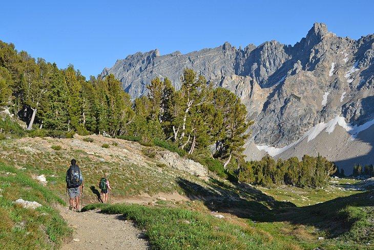 Zonas de Camping Paintbrush Canyon
