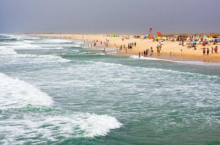 Ilha de Tavira y la Ria Formosa