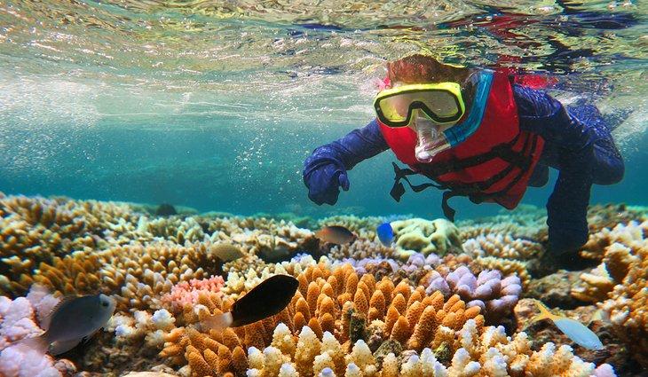 Buceo en la Gran Barrera de Coral