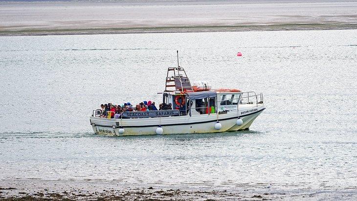 Excursión en barco por Anglesey