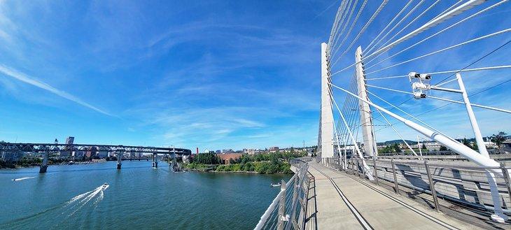 Tilikum Crossing Bridge