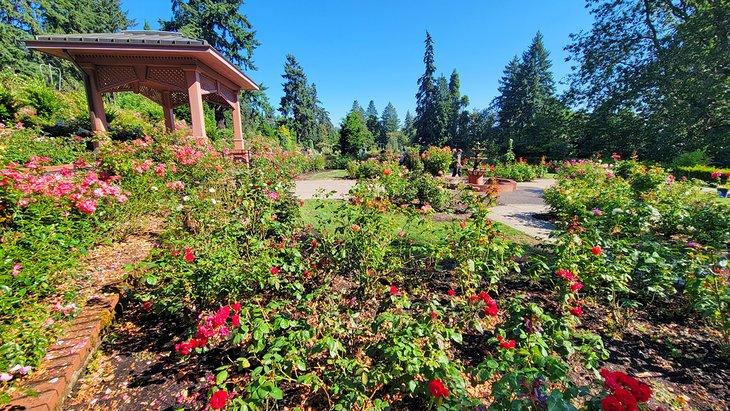 Portland International Rose Test Garden