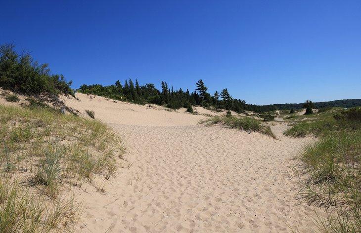 Sanddünen im Petoskey State Park
