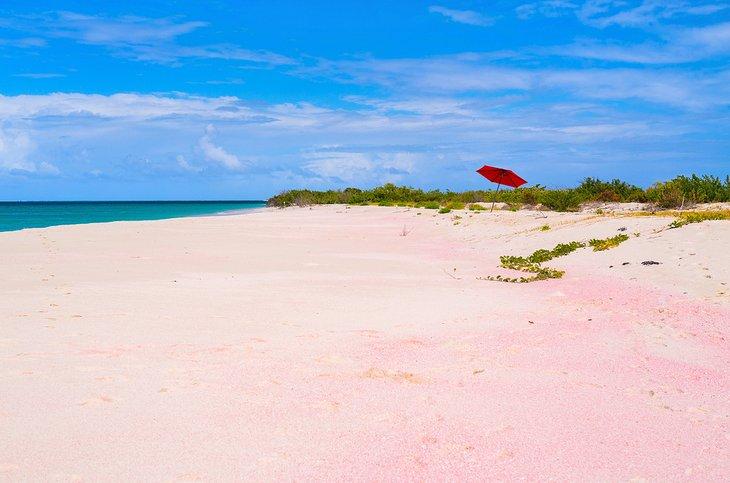 Pink Beach en Barbuda