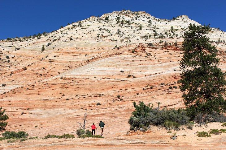 Senderistas en el Parque Nacional Zion