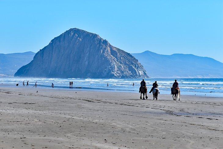 Caballos en la playa de Morro Bay