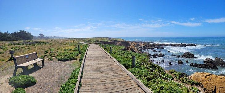 Camino de la Playa Moonstone, Cambria