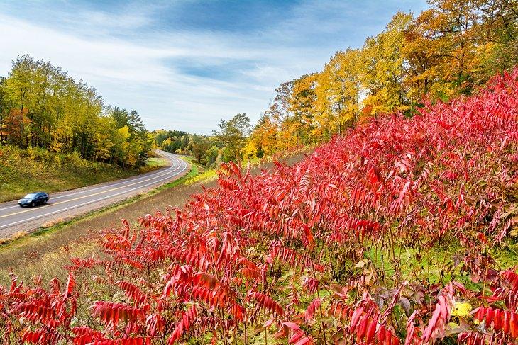 Road winding through the fall colors of the Hayward countryside