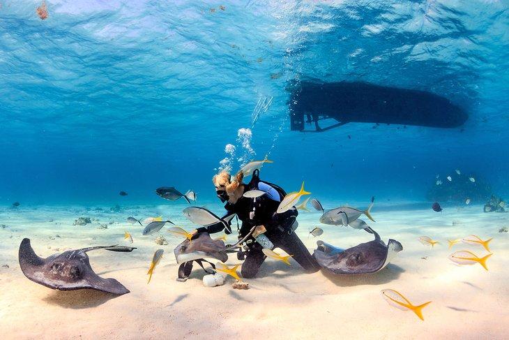 Ciudad de Stingray, Gran Caimán