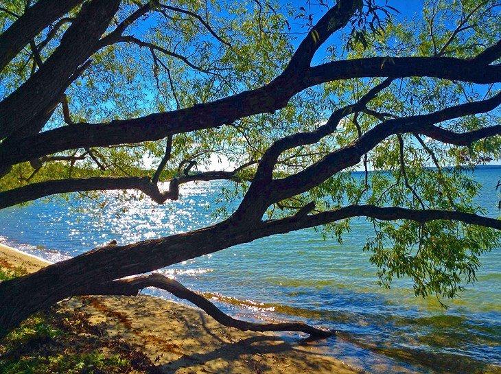 Cheboygan State Park Strand