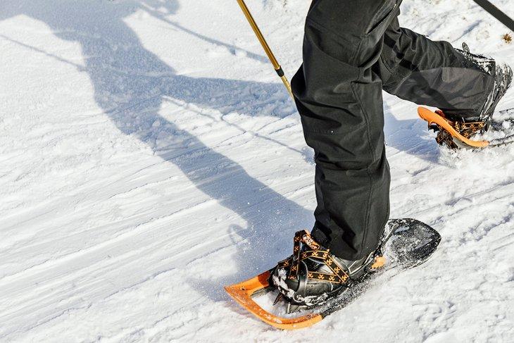 Caminante de raquetas de nieve
