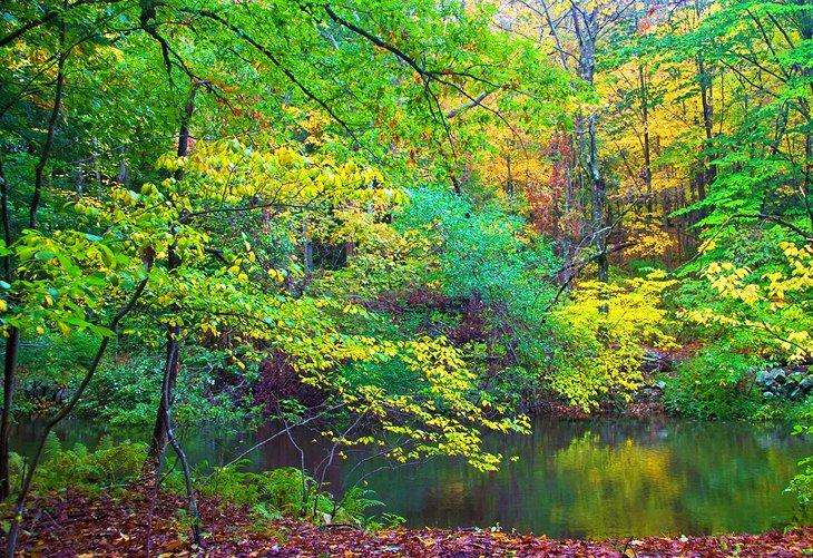 Couleurs d'automne au Mianus River Park
