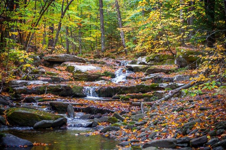 Cascadas en Hunter Mountain en otoño