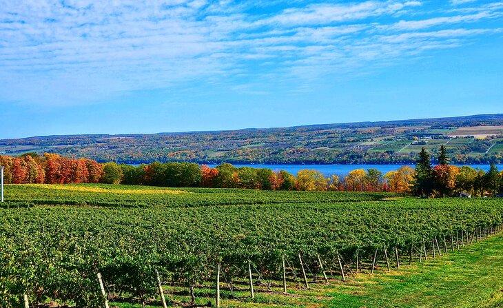 Lago Seneca