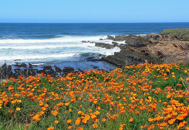 Parque Estatal Montaña de Oro