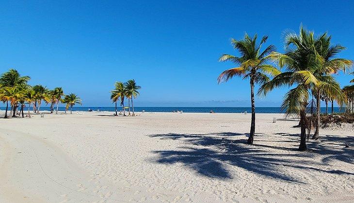 Palmeras en la playa de Crandon Park