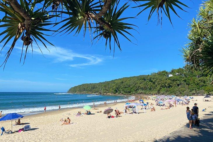 Playa Principal de Noosa