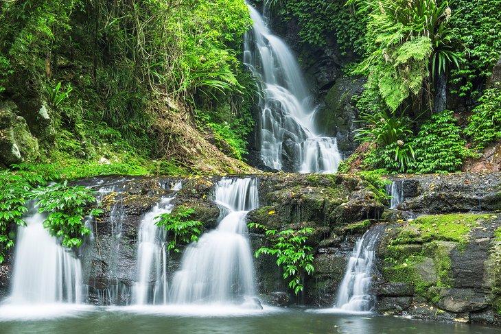 Cascadas en el Parque Nacional Lamington