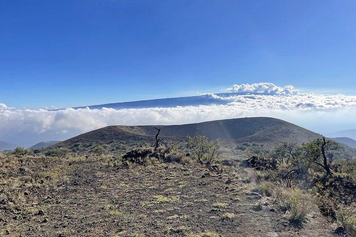 Mauna Kea Gipfel