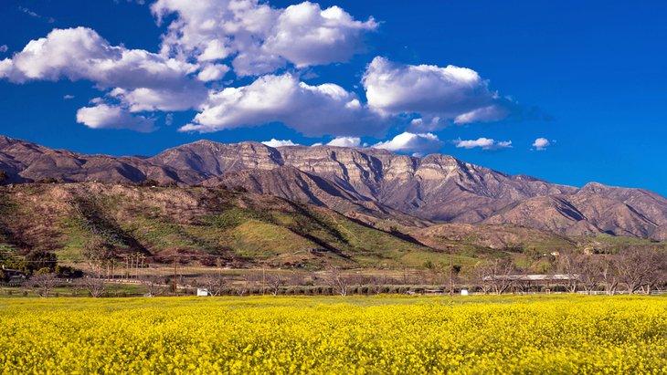 Primavera en Ojai