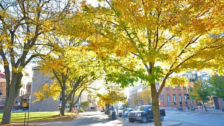 Otoño en el centro de Iowa City