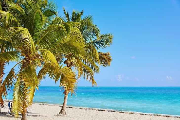 Playa Smathers, Key West