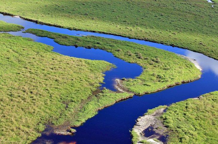Los sinuosos caminos de agua de los Everglades de Florida