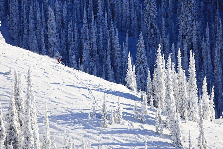 Un esquiador tallando en nieve fresca en Whitefish Mountain.