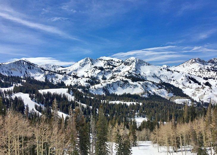 Picos de montaña en un día despejado en Brighton, Utah.