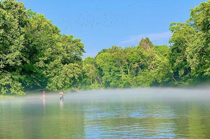 Angler am South Holston River