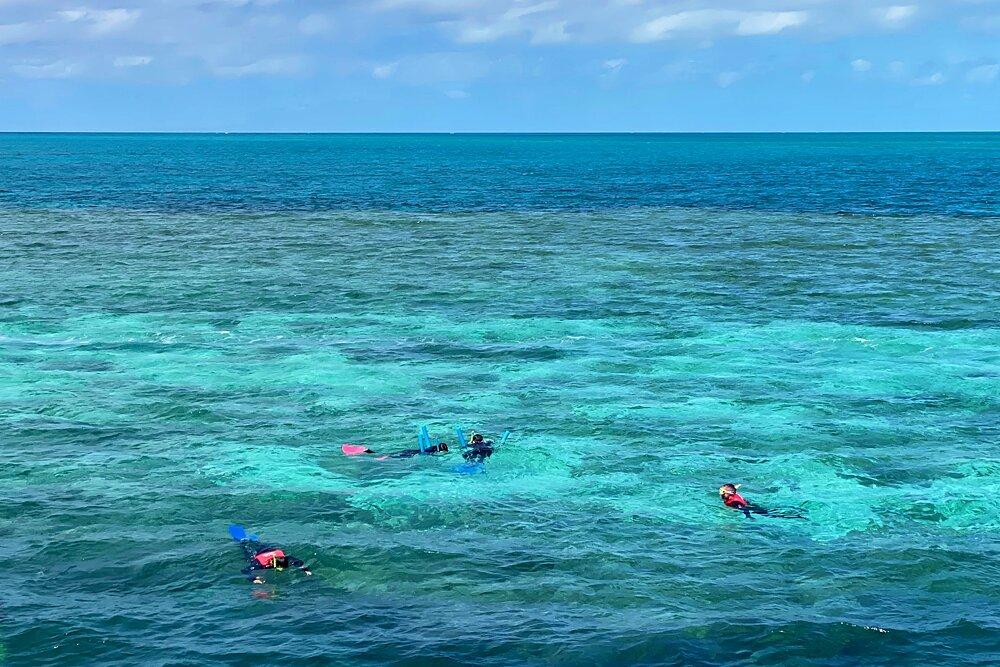 Schnorcheln am Great Barrier Reef vor Airlie Beach