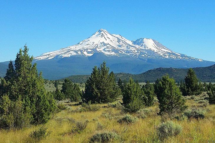Monte Shasta
