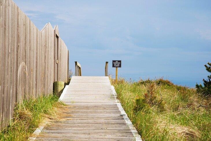 Camino hacia la Playa Cherry Grove